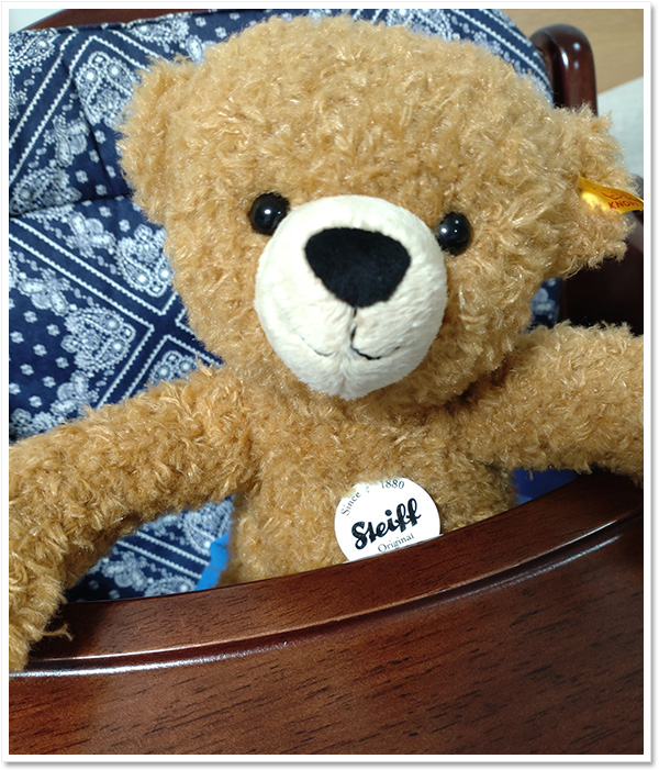 シュタイフ クラシックテディベア 1920 35cm EAN000737