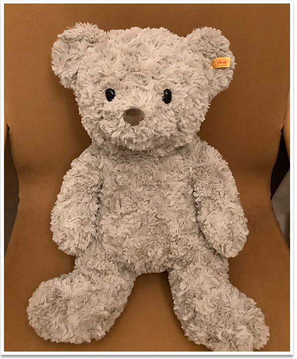 シュタイフ パディントンベア 32cm EAN354250