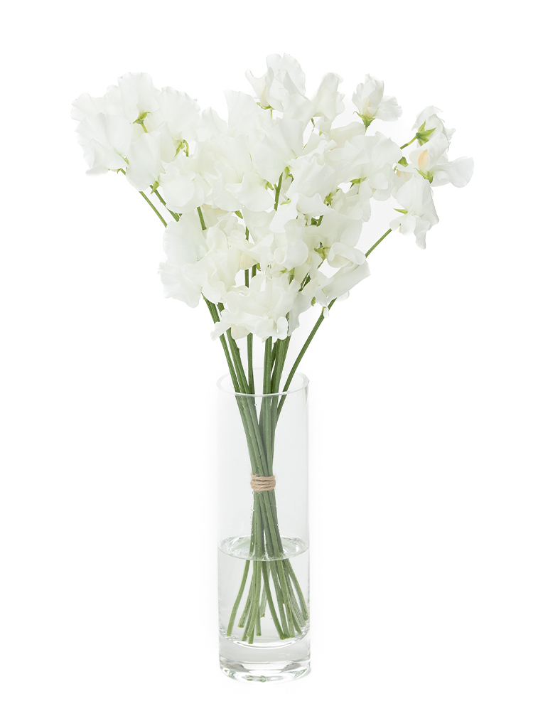 生花】スイートピー ウエディング【白/50cm/宮崎県・大分県】｜Flower