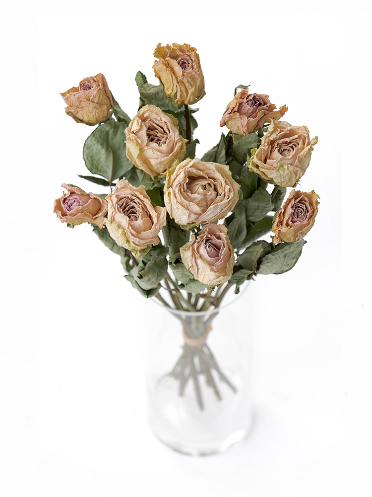 ドライ】バラ(薄ピンク) 品種おまかせ【50cm】｜Flower Smith Market