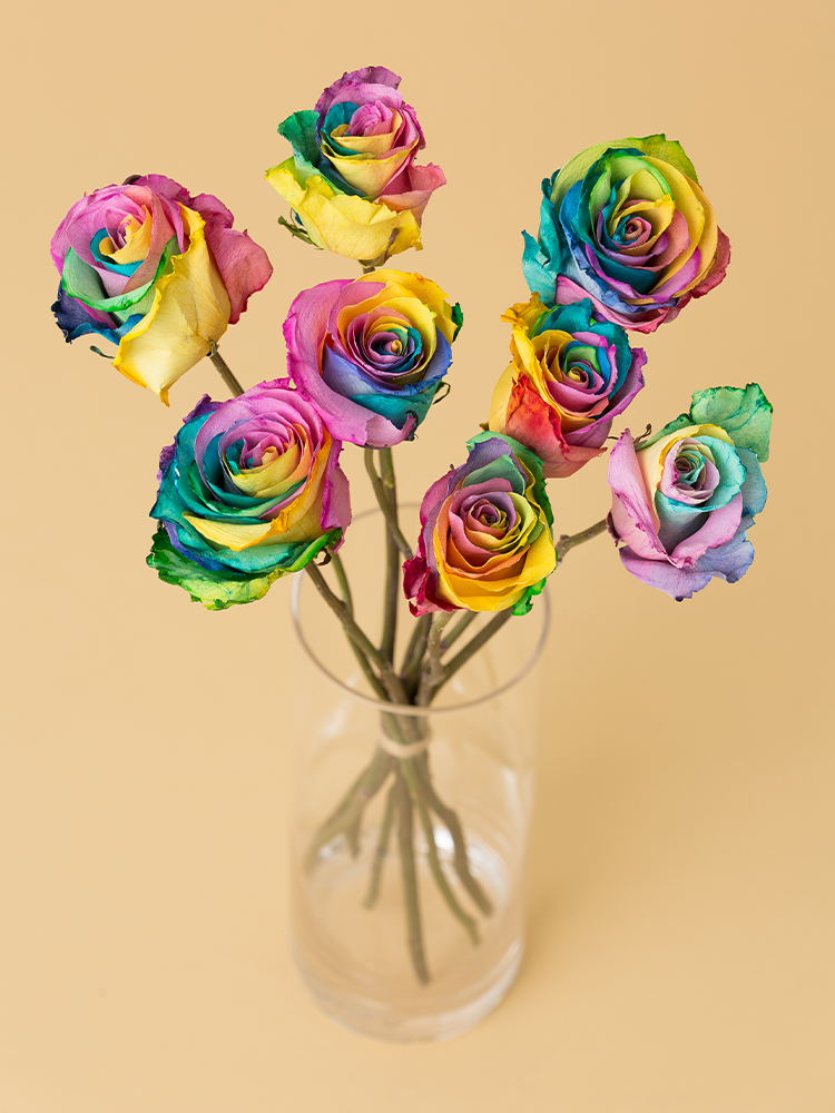 高級ドライ】バラ レインボーローズ【50cm】｜Flower Smith Market