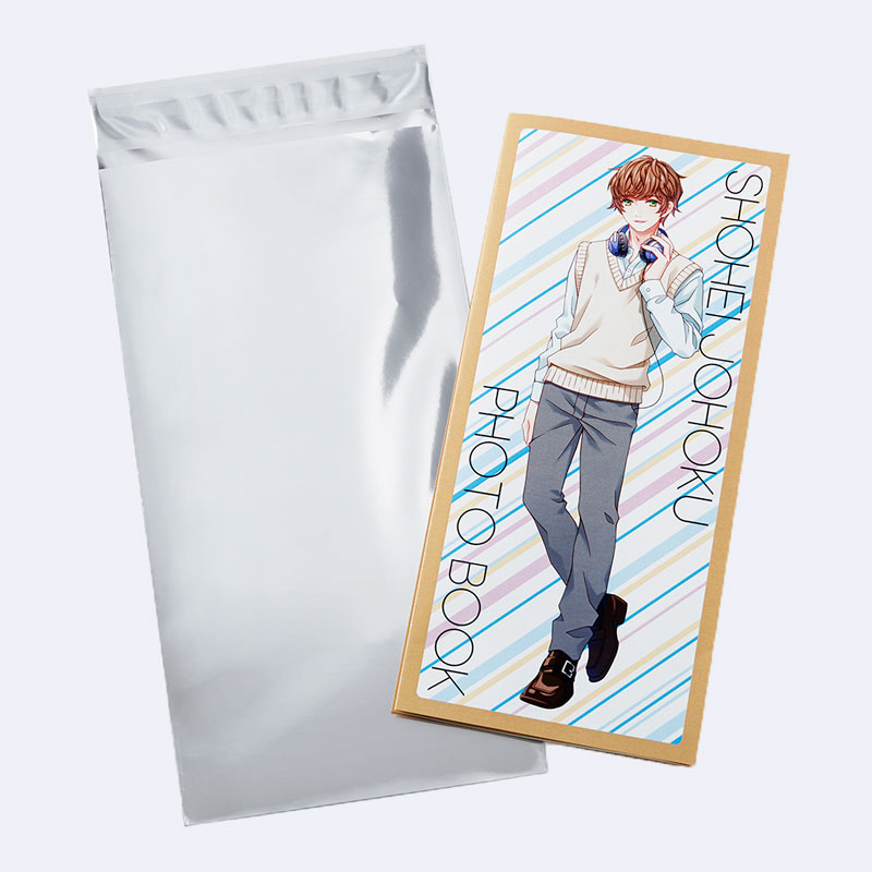 アルミ蒸着のり付袋 AZ-6 (120×235mm) 100枚入り | OPP・アルミ袋の