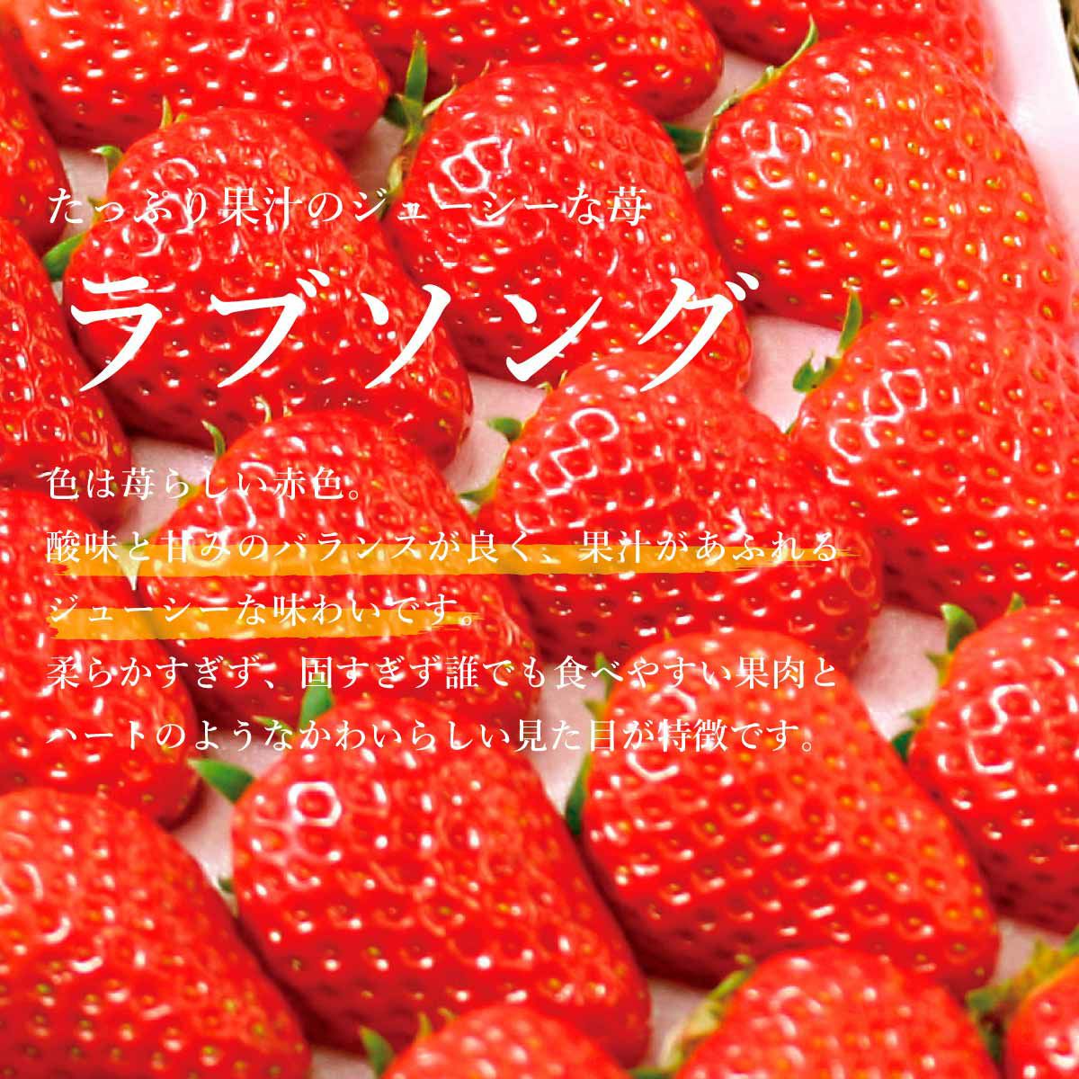 いちご ラブソング（紅ほっぺ）デラックス DXサイズx2トレイ【送料