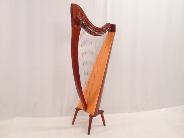 高額買取実施中!!】Salvi サルヴィ レバーハープ AIDA 34弦 | 楽器買取