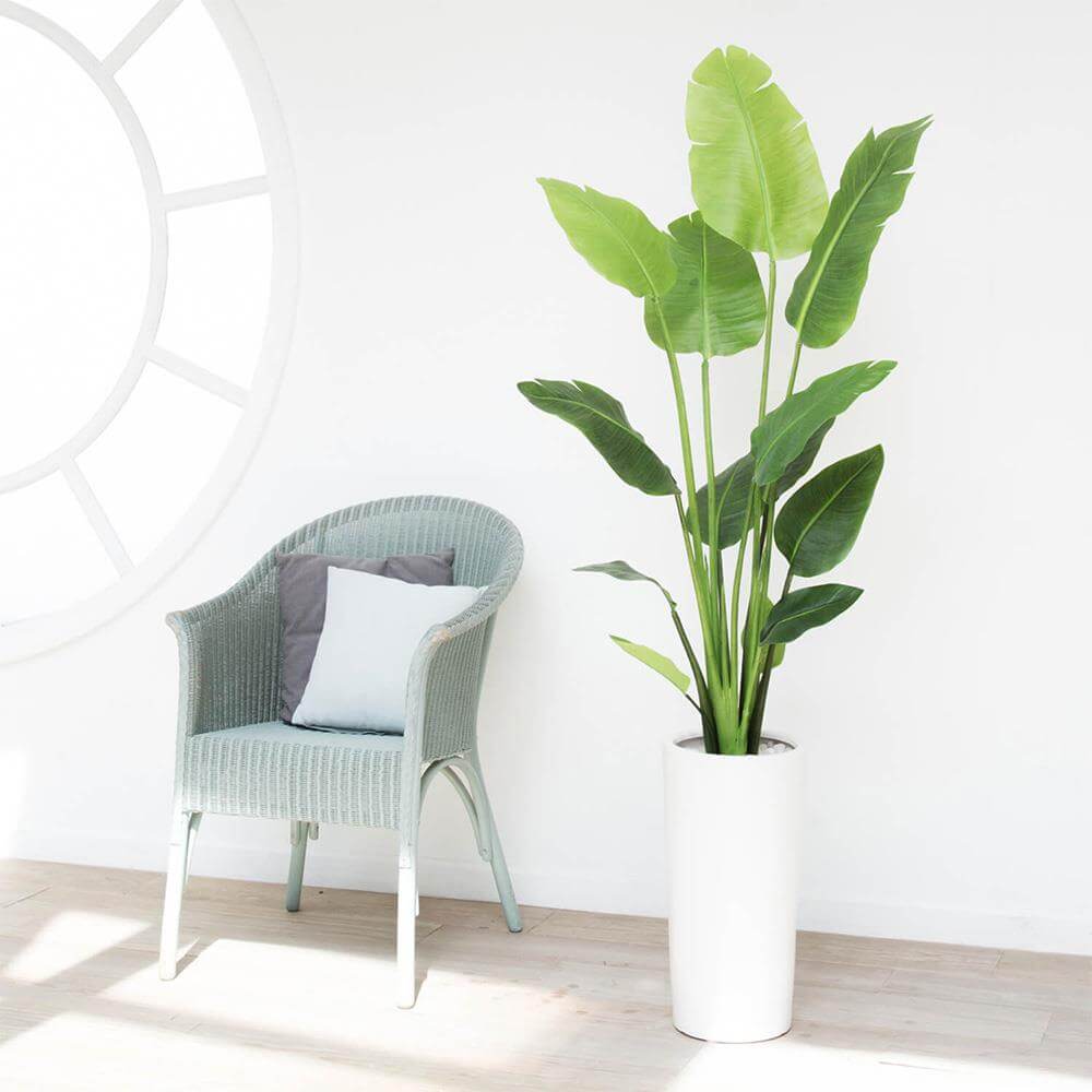 ストレチア 高さ170cm (フェイクグリーン 人工観葉植物 大型