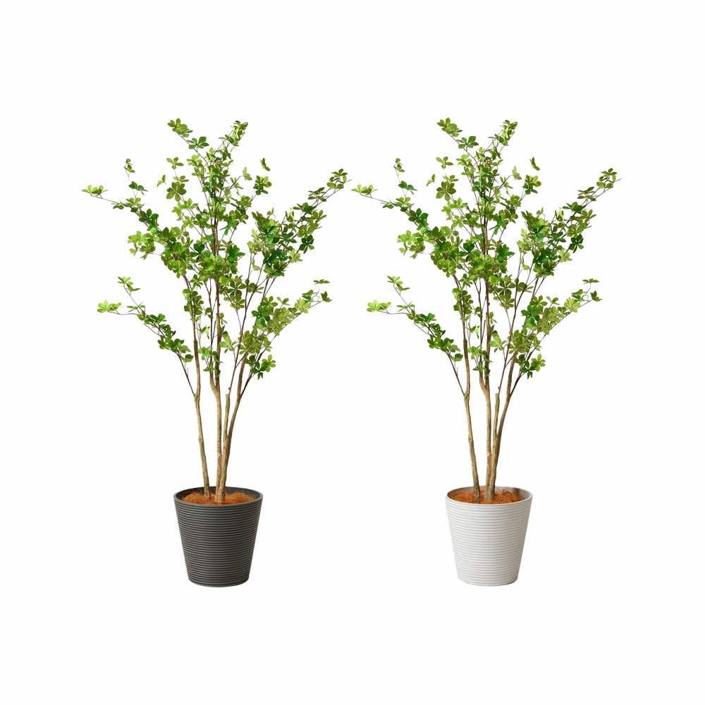 ドウダンツツジ 高さ165cm （フェイクグリーン フロアグリーン） の