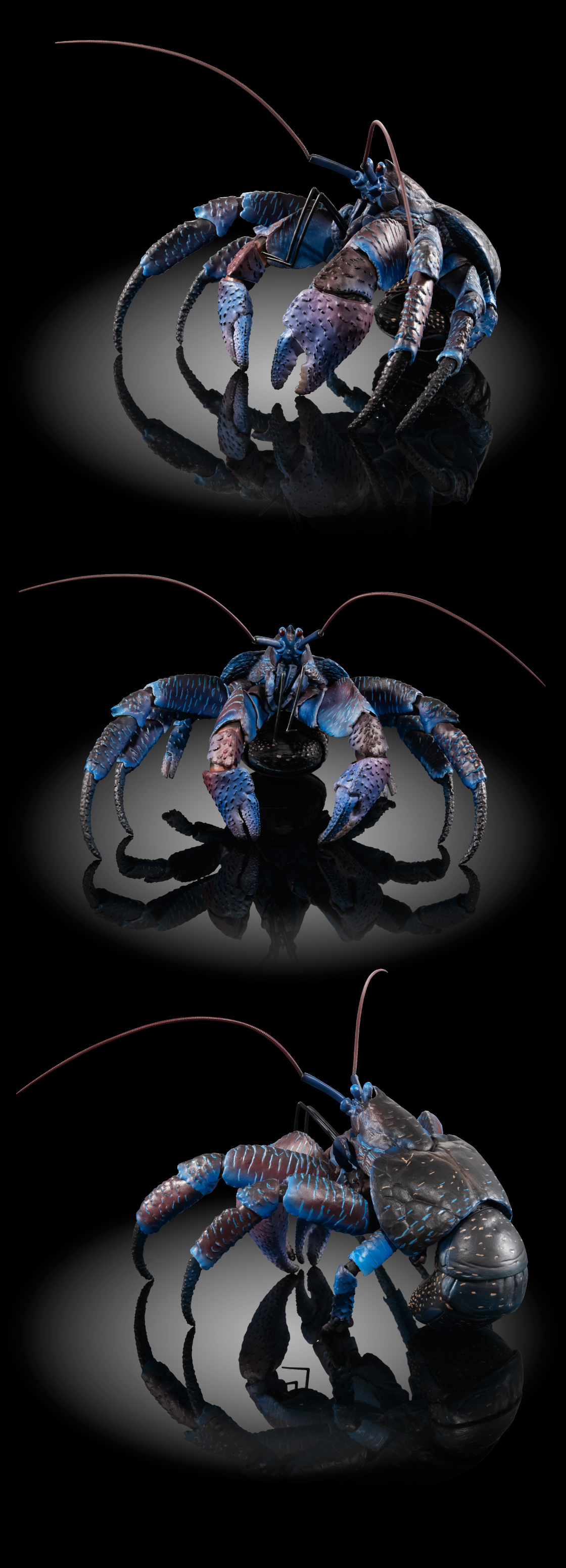 いきもの大図鑑プレミアム ヤシガニ｜いきもの大図鑑｜ガシャポン