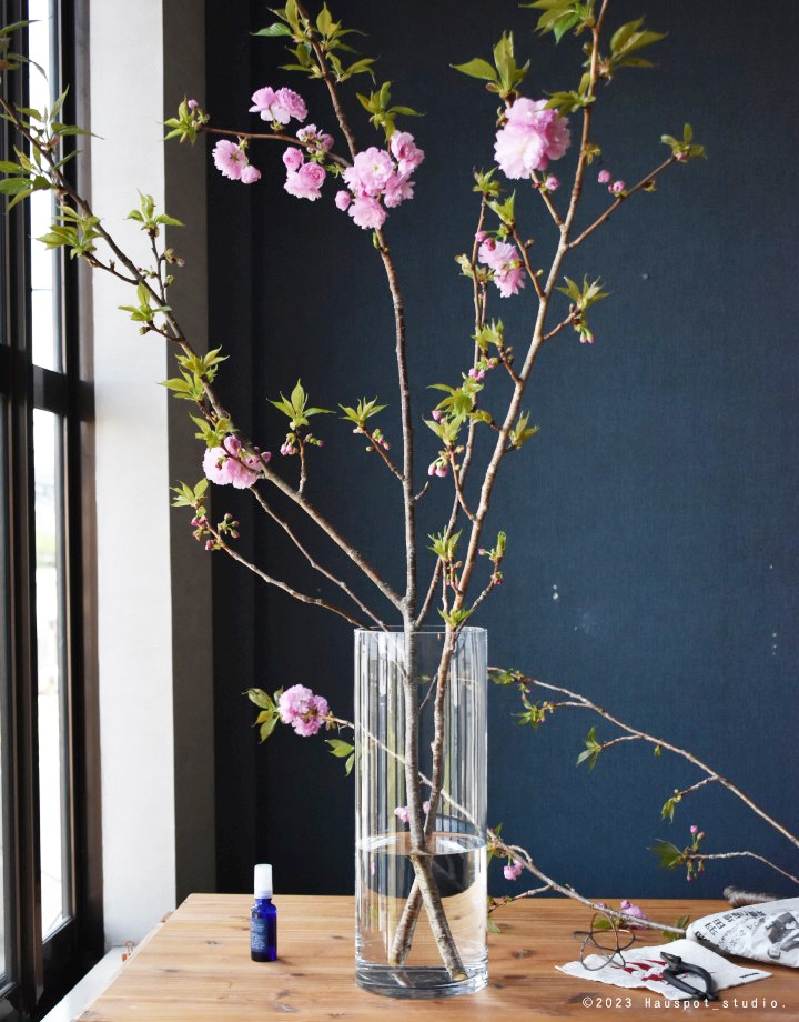 ガラスベース 枝物 円柱 丸型シリンダーベース｜ model 1540｜サイズ