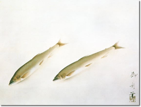 掛け軸 掛軸 速水御舟（はやみぎょしゅう）・ 鮎（あゆ） 尺五 名作品