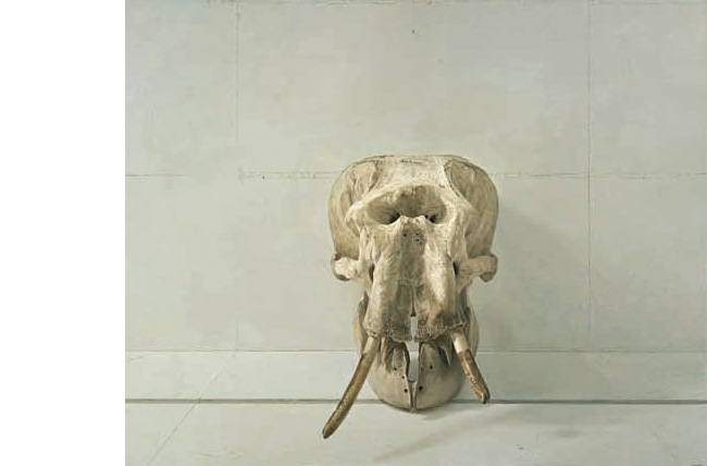 求龍堂：聖なるもの 野田弘志画集