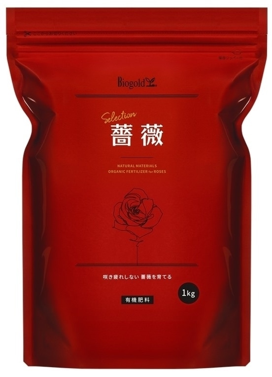 彩（あや）（大苗）7号鉢植え 四季咲き中輪房咲き系（フロリバンダ