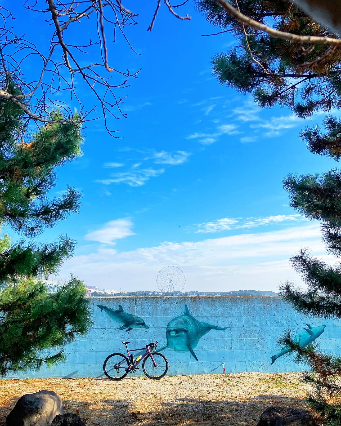 新木場緑道公園 イルカの壁画 逆光 観覧車 サイクリング - ハンチング