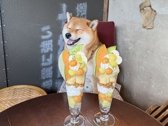 店で注文したメロンパフェ 後ろを見ると？「目が行っちゃう」「こっち