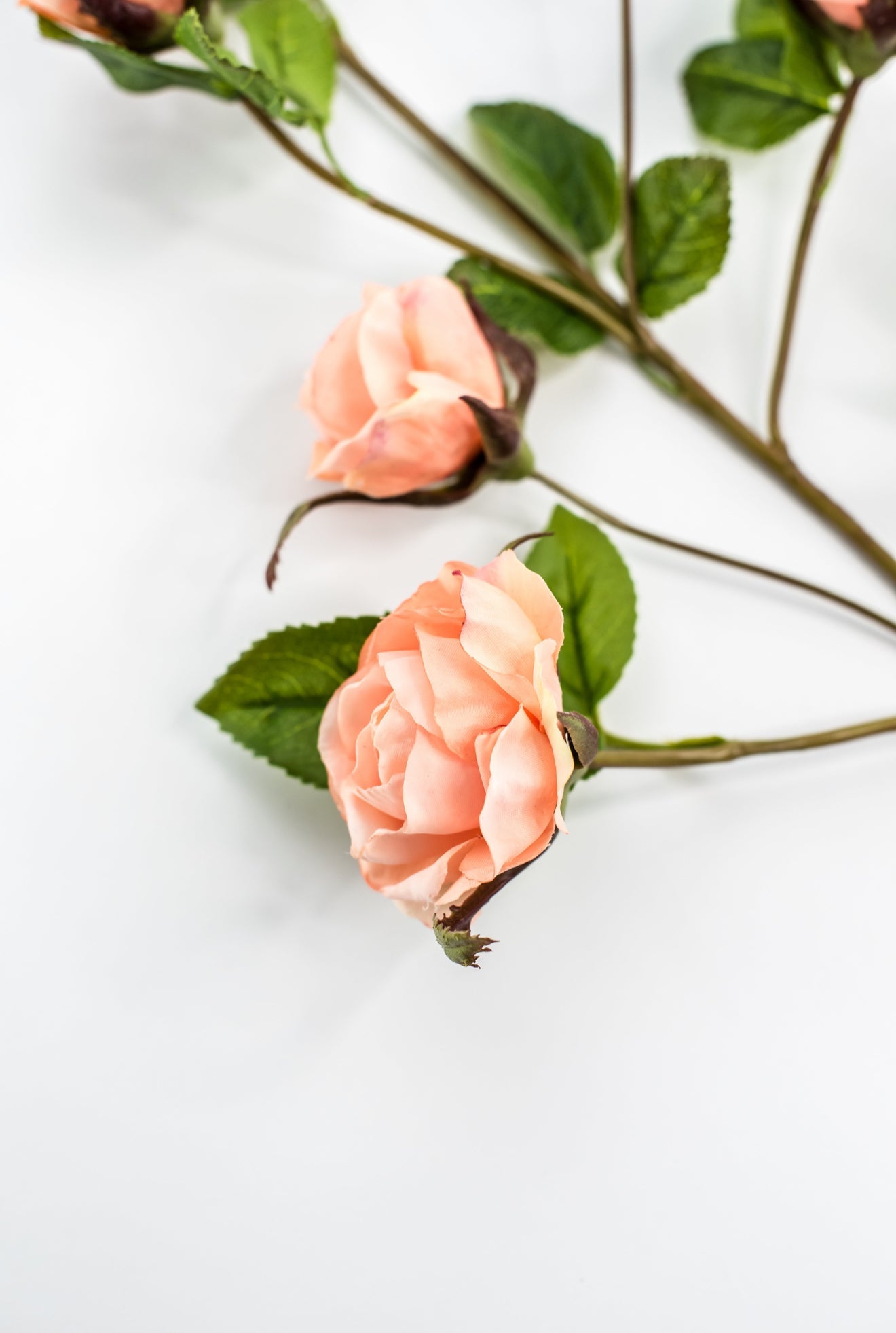 Salmon rose spray - Greenery Market