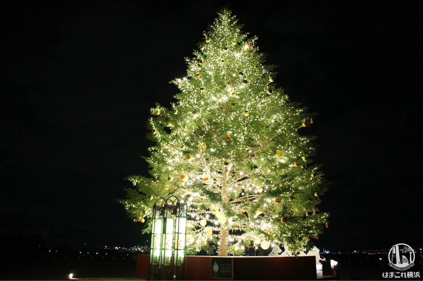 2018年 横浜赤レンガ倉庫でクリスマスマーケット点灯！ツリーやルーフ