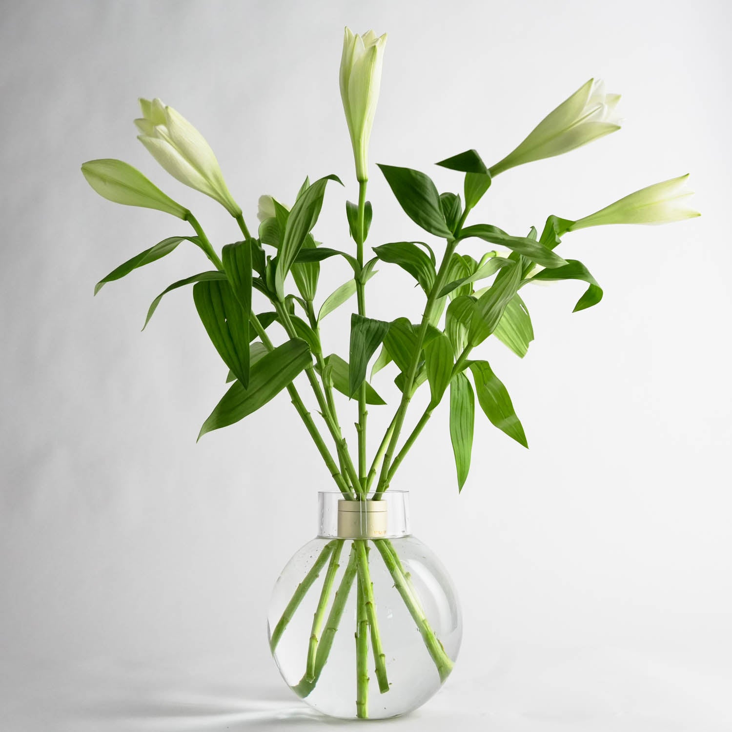 Bubble Glass Flower Vase | hanataba.co – Hanataba.co