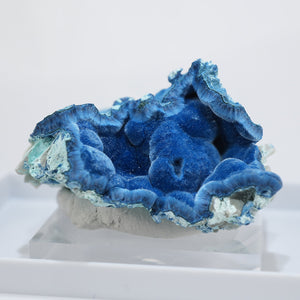 シャッタカイト – 天然石ハッピーギフト