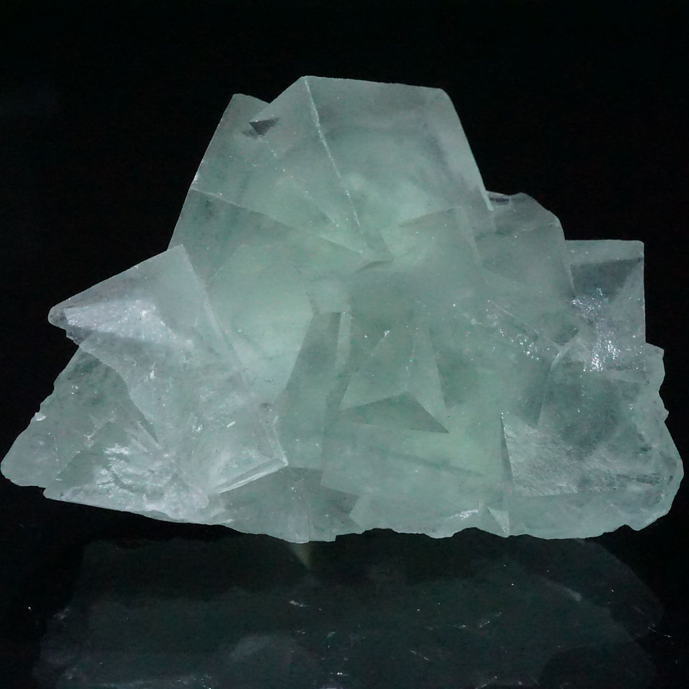 New Found》中国湖南省 香花嶺(シャンファーリン)産 グリーンフロー