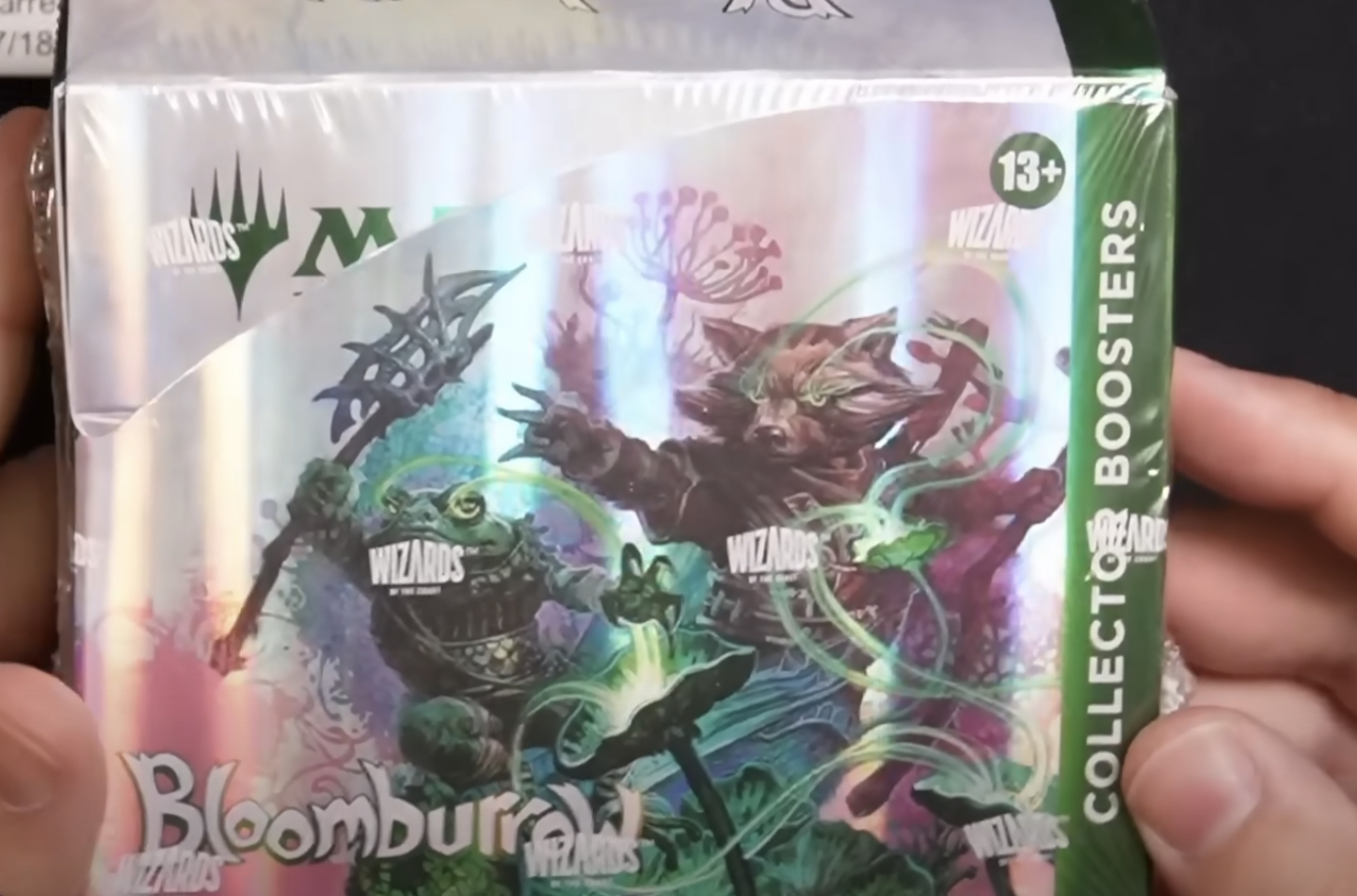 ブルームバロウ】コレクターブースターBOX開封動画！ | 速攻MTG