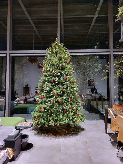 クリスマスツリーレンタル もみの木 モミの木レンタル 本物 生木