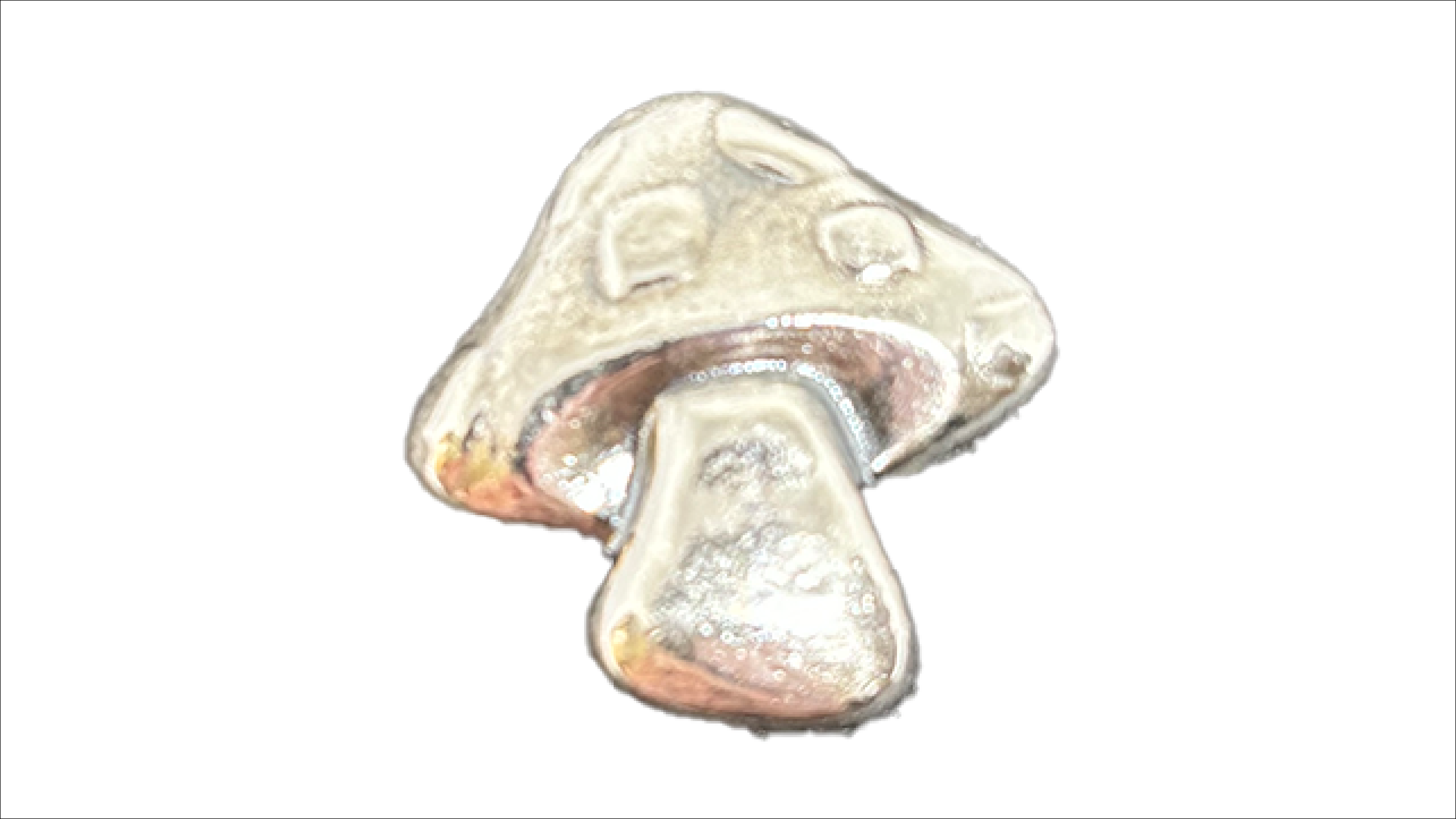 shroom-front-thumb.png