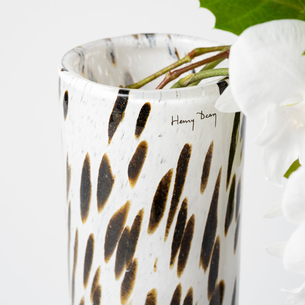 Pipe XL アパルーサ