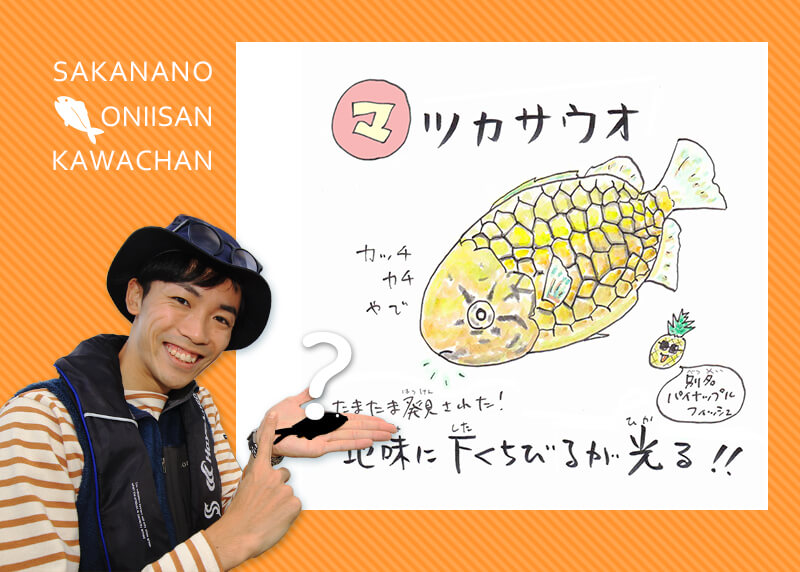 あ・い・う・え・おさかな 【マ行】のお魚な～に？ | 知って得する