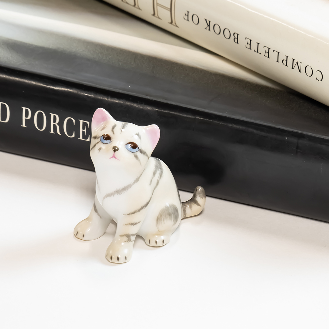 ファンシー] 子猫 ルッキングアップ