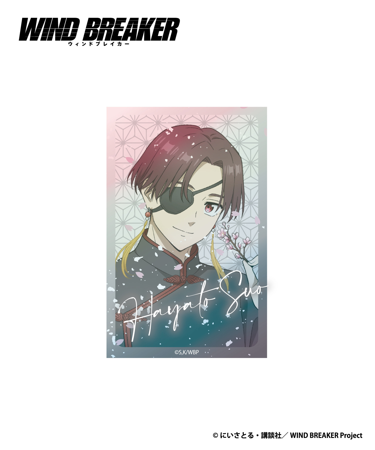 TVアニメ『WIND BREAKER』ブック型フォトカードセット_蘇枋隼飛｜HICUL