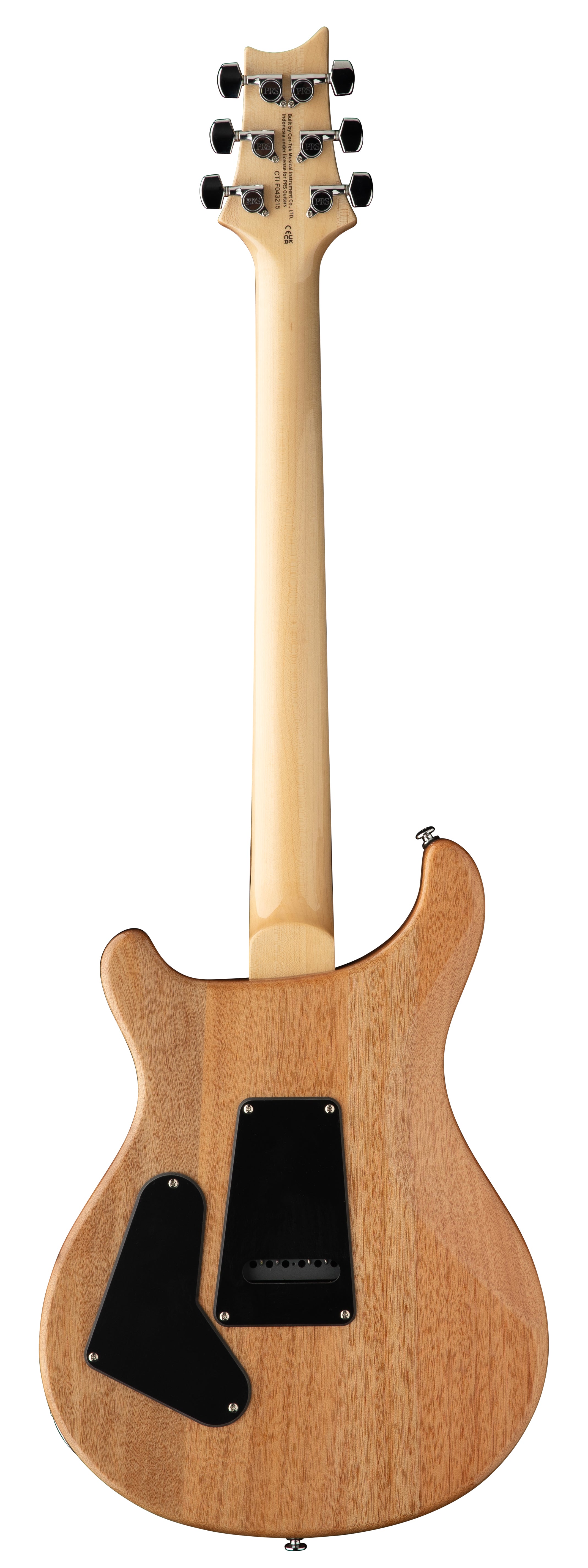 PRS SE Custom 24 Turquoise