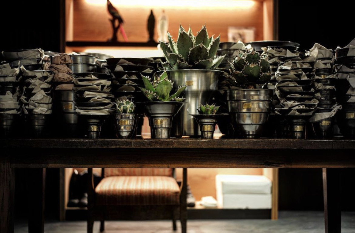 MASSESなど、トリプルコラボ「鉢」再登場 | HIGHSNOBIETY.JP（ハイス