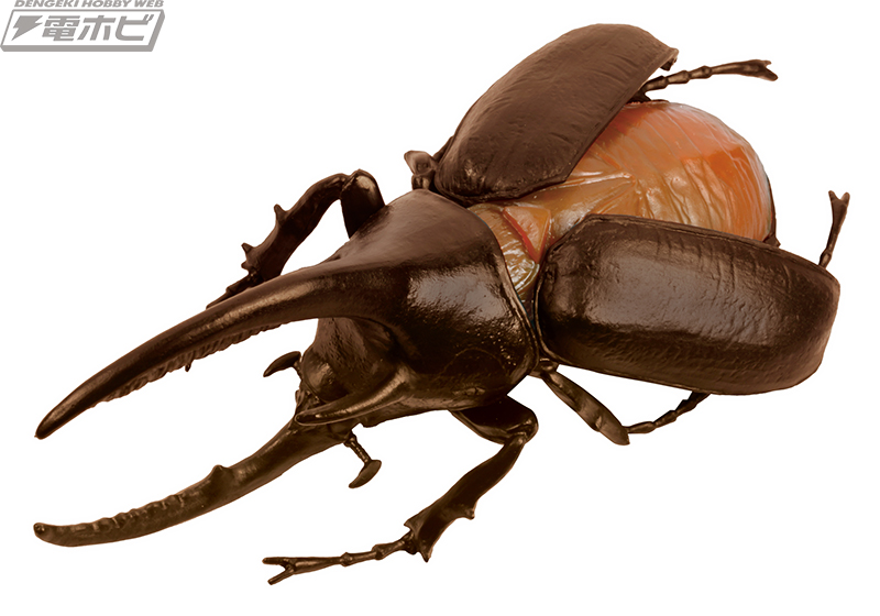 キャンディトイ「昆虫の森」に最強の挑戦者・ギラファノコギリクワガタ