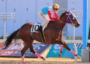 仏の美人ジョッキー・ミシェルが地方初V 川崎5Rの1番人気