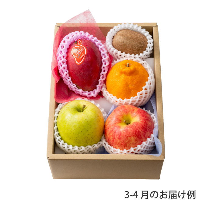 送料込】本日の厳選フルーツ詰め合わせ《HFY-02A》[4千円] ｜公式ホシ