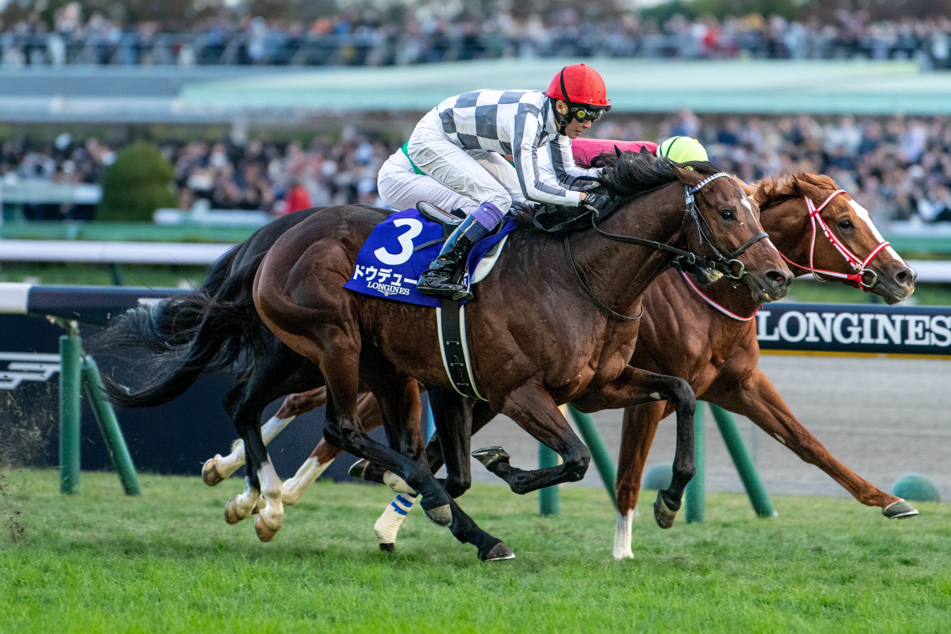 日本総大将の帰還、武豊騎手とドウデュースがジャパンカップ制覇