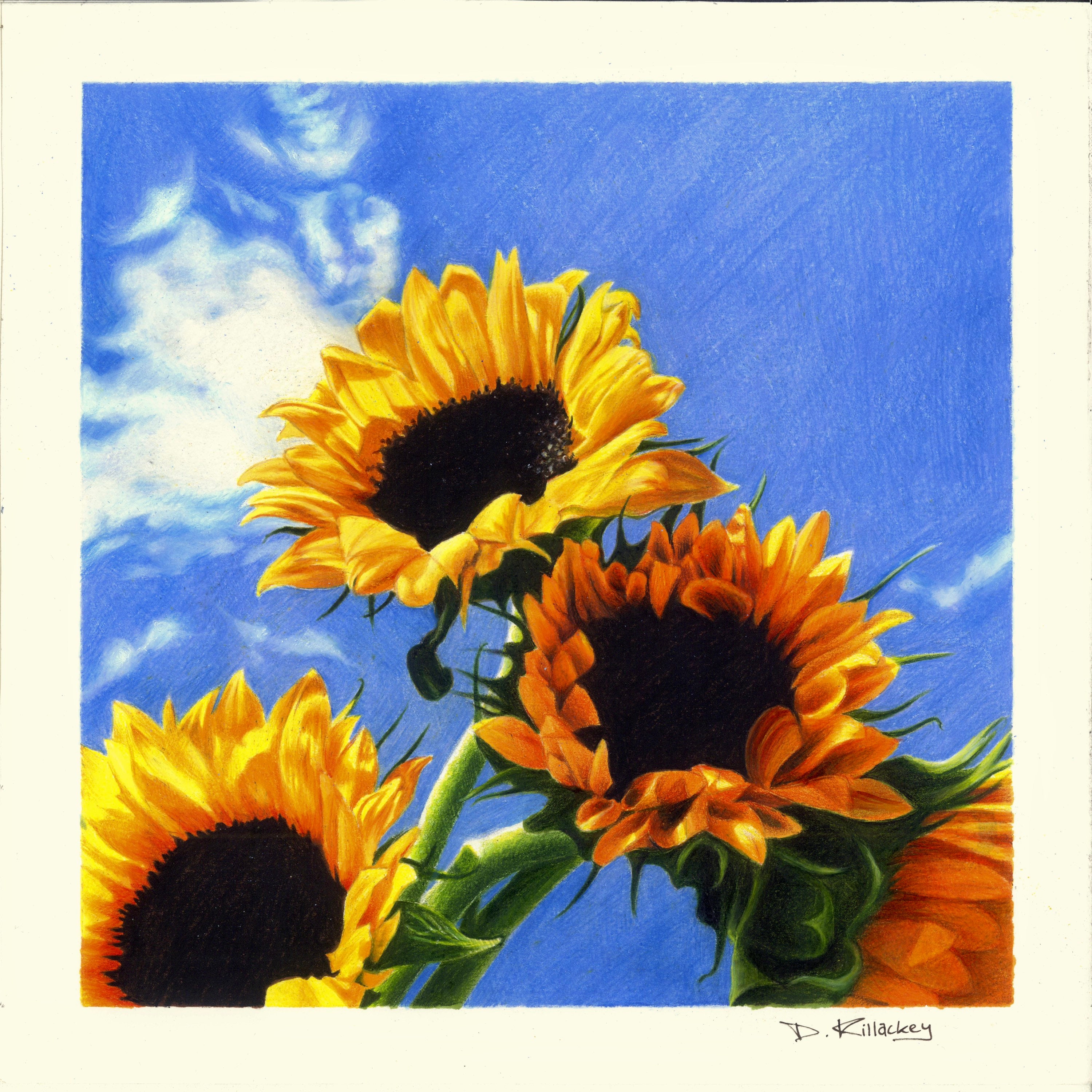 ひまわりの絵の版画 - Etsy 日本