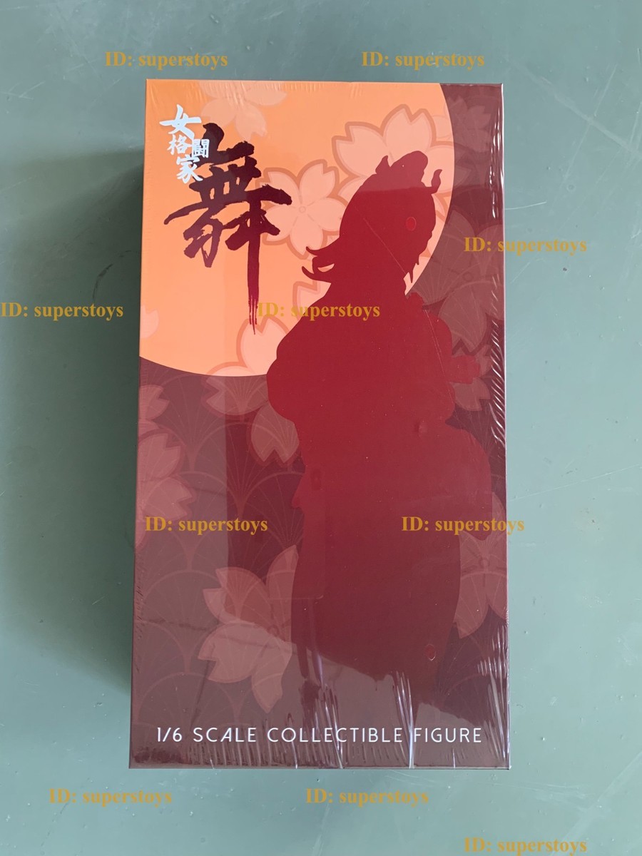 NINJA CAT N001 1/6 Female Fighter 