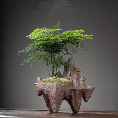 Bonsai Pot Ancient Chinese Mountain Style Purple Sand Ceramic