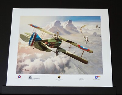 Roy Grinnell - American Fighter Aces - UNFRAMED - WW I Aviation