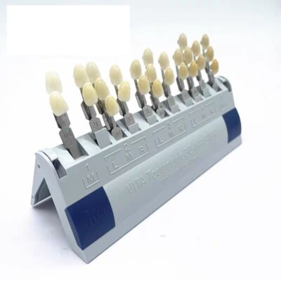 ORIGINAL VITA GERMANY 3D MASTER Dental Tooth ShadeGuide Natural 29