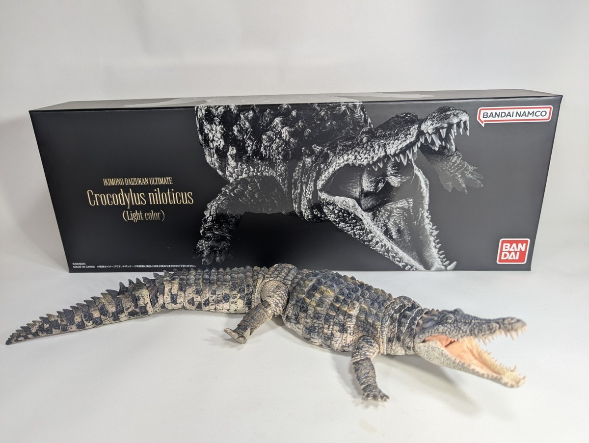 NEW* The Diversity of Life Nile Crocodile (Light Color) Figure