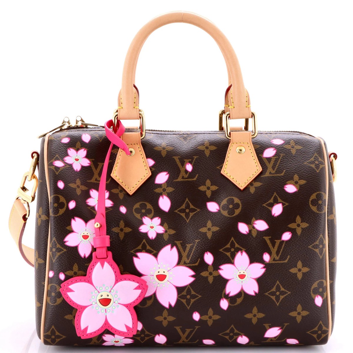 Louis Vuitton x Takashi Murakami Speedy Handbag Limited Edition