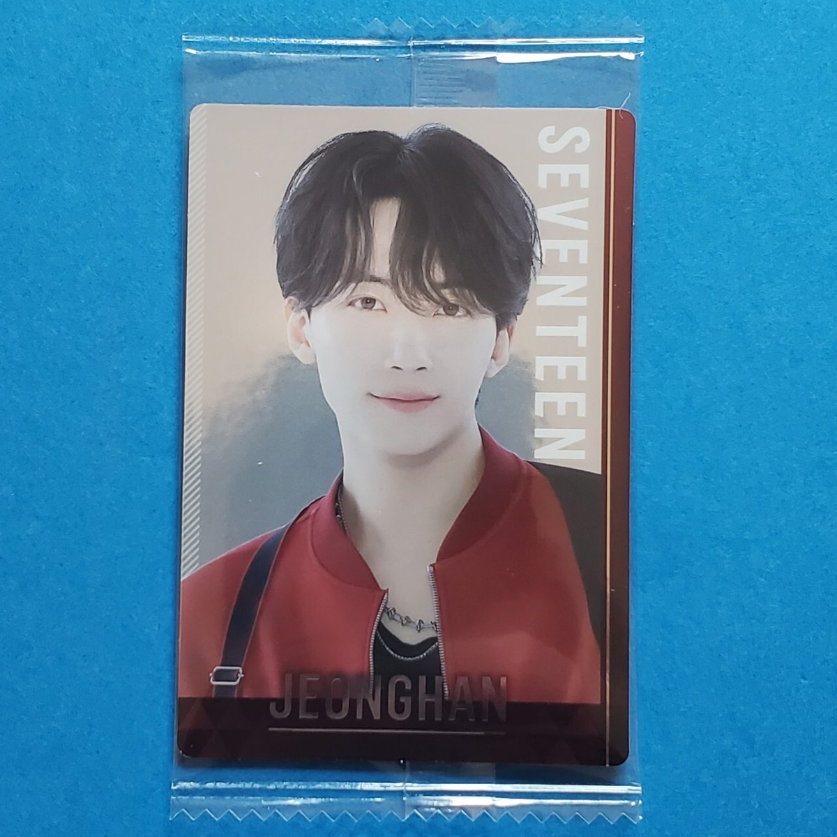 SEVENTEEN Photo card BANDAI wafer official Japan Limted SVT PC