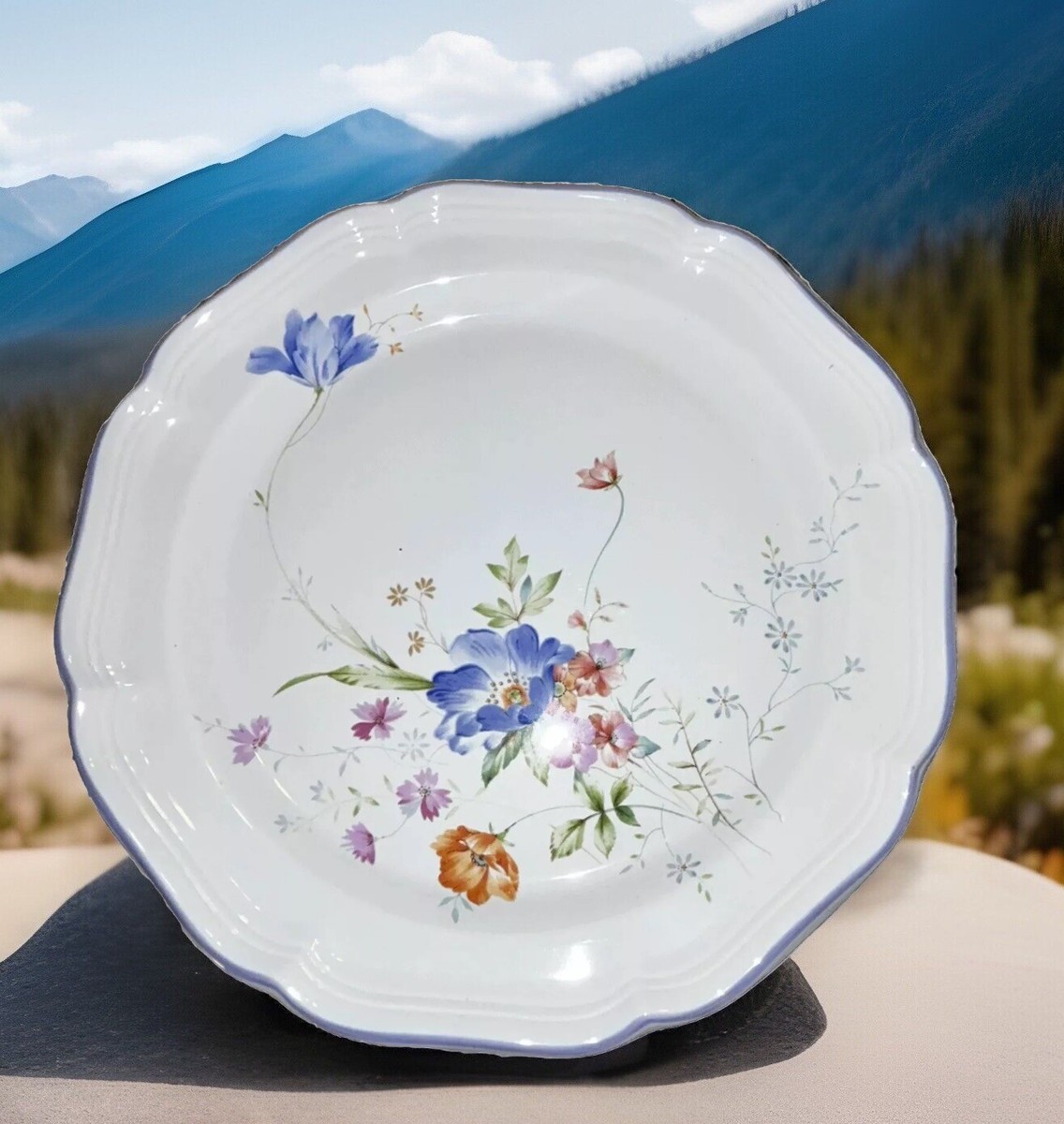 RARE VINTAGE MIKASA FRENCH COUNTRYSIDE Blue Bouquet F 9004 Japan