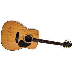 Takamine Lawsuit F340 | eBay