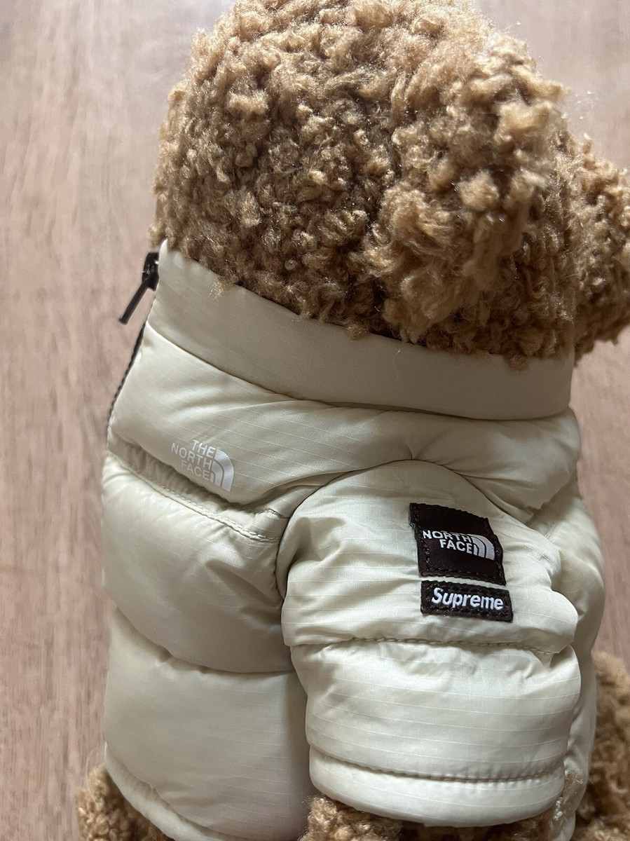 Supreme The North Face Bear- Tan | eBay