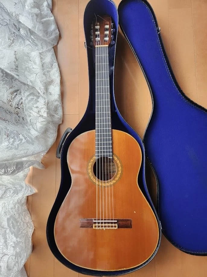 Suzuki 6 String Classical Guitars for sale | eBay