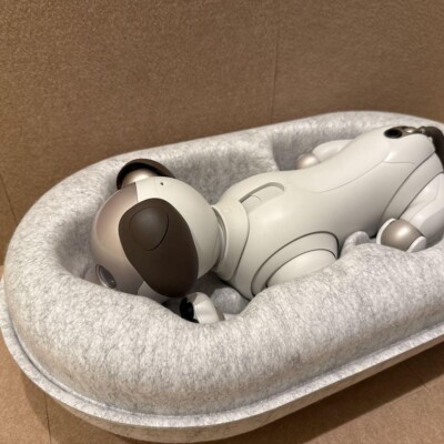 Sony AIBO ERS-1000 Robot Dog Ivory White + Accessories Excellent