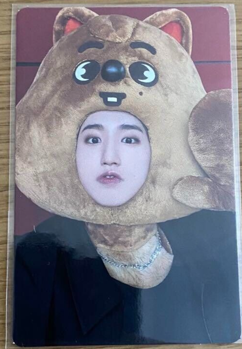 Stray Kids HAN MAXIDENT JYP shop POB SKZOO Official Photocard pc