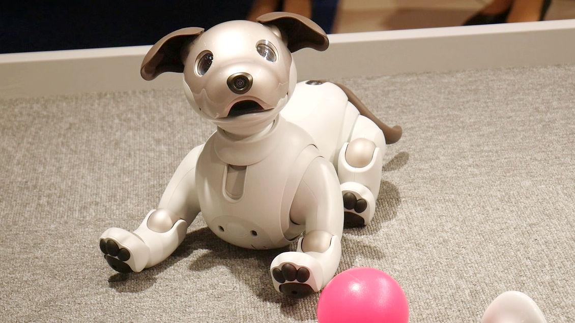 ソニーの新型ペットロボット「aibo」を速攻ムービー＆フォトレポート